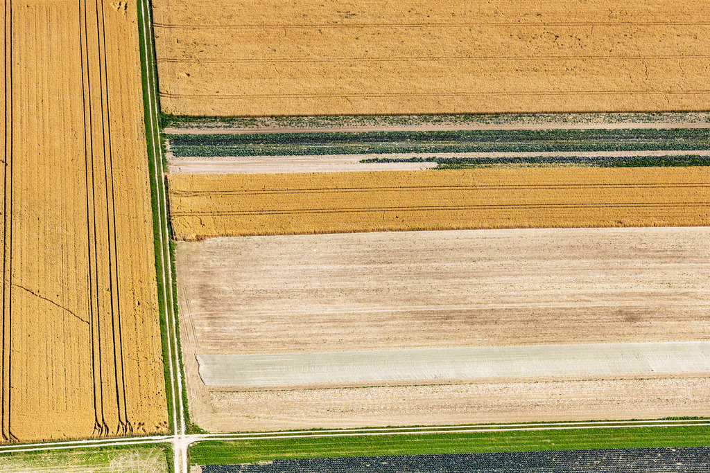 dr__0010854.jpg | EICHENRIED 13.07.2018 Streifen- und Reihen- Strukturen auf landwirtschaftlichen Feldern in Eichenried im Bundesland Bayern, Deutschland. // Structures on agricultural fields in Eichenried in the state Bavaria, Germany. Foto: Daniel Reiter