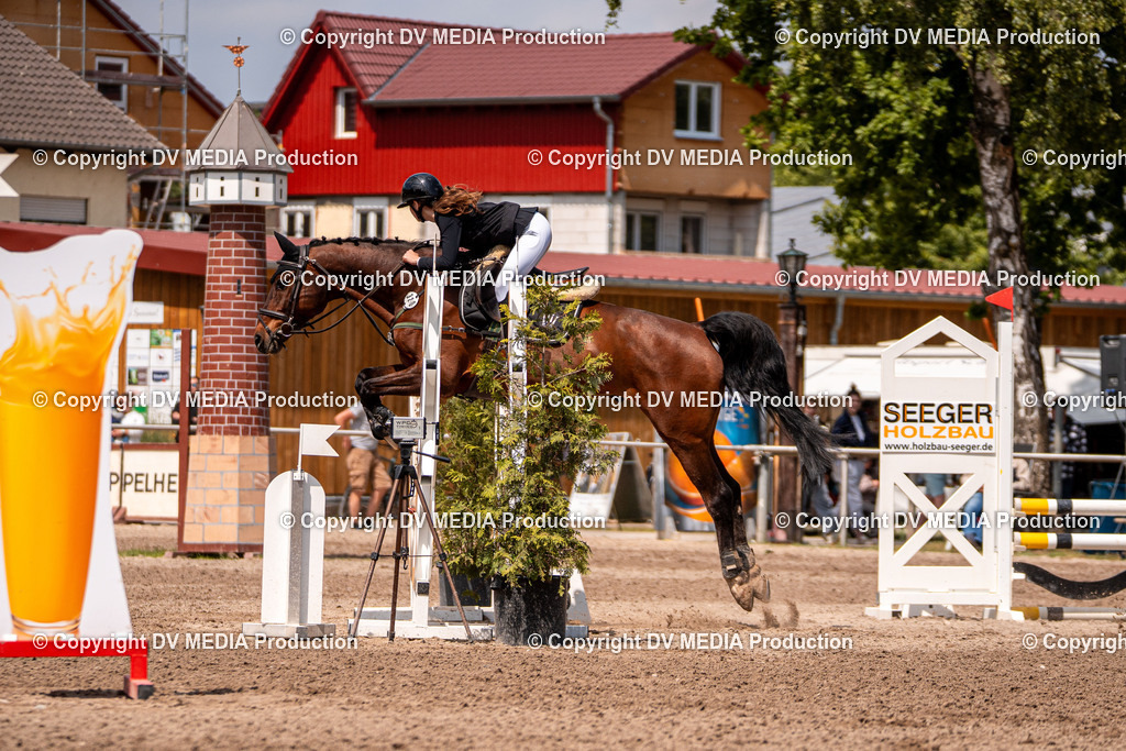 Eppelheim Tag 3-458 | dv-media-shop - Realisiert mit Pictrs.com