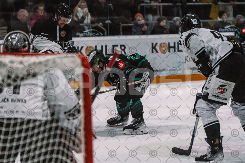 Alligators_vs_Passau_26_12_2025-057 | Höchstadt Alligators Fotogalerie: Eishockey-Action aus Franken. Professionelle Spielfotos, Portraits & Stadionbilder zum Download. Jetzt entdecken! - Realisiert mit Pictrs.com