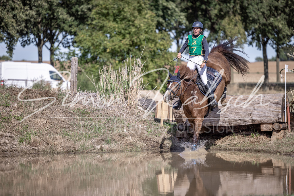 20260906-_3LI5501 | Tierfotografie Pferde, Hunde, Katzen, Haustiere.
Turnierfotografie Reitturniere, Reiten, Springreiten, Dressur in Hanau, dem Main-Kinzig-Kreis und dem Rhein-Main- Gebiet um Frankfurt