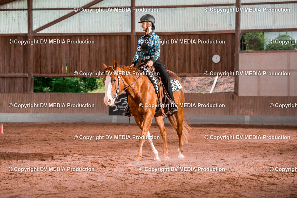 NE200375 | dv-media-shop - Realisiert mit Pictrs.com