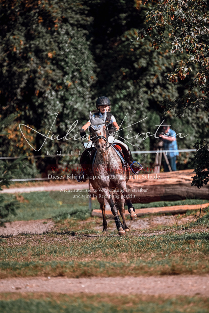 DSC_0714 | Pferde- und Turnierfotografie in Westsachsen. Pferdeportraits, Auftragszeichnungen und intuitive Kunst.