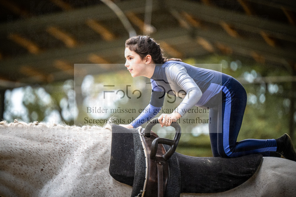 DOS_0075 | Entdecke hochwertige Reitturnierfotos von Foto Oger. Professionell, emotional und authentisch – jetzt Lieblingsmomente im Shop bestellen.Deutschlandweite Turnierfotografie. - Realisiert mit Pictrs.com