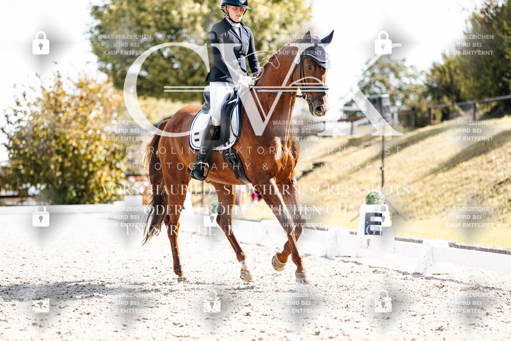 CK902653 | Turnierfotografie Pferdefotografie Trier Rheinland-Pfalz Pferdesport Reitsport Tierfotografie Sportfotografie Pferdevideo Pferdevideografie Equestrianvideography equestrianphotography  - Realisiert mit Pictrs.com