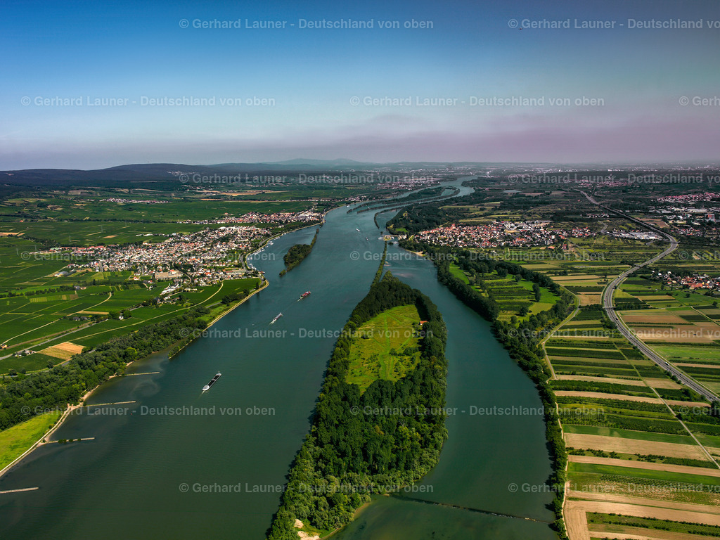 7000720 | Rhein bei Winkel