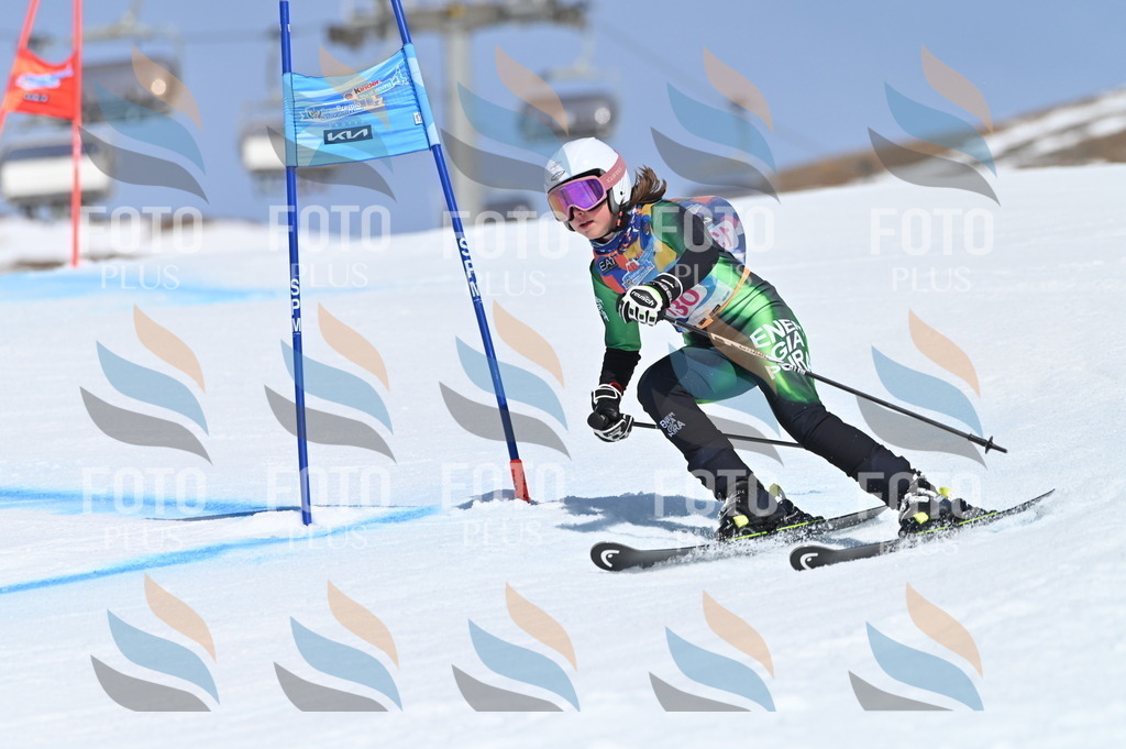 BGV_9988 | holidayphoto