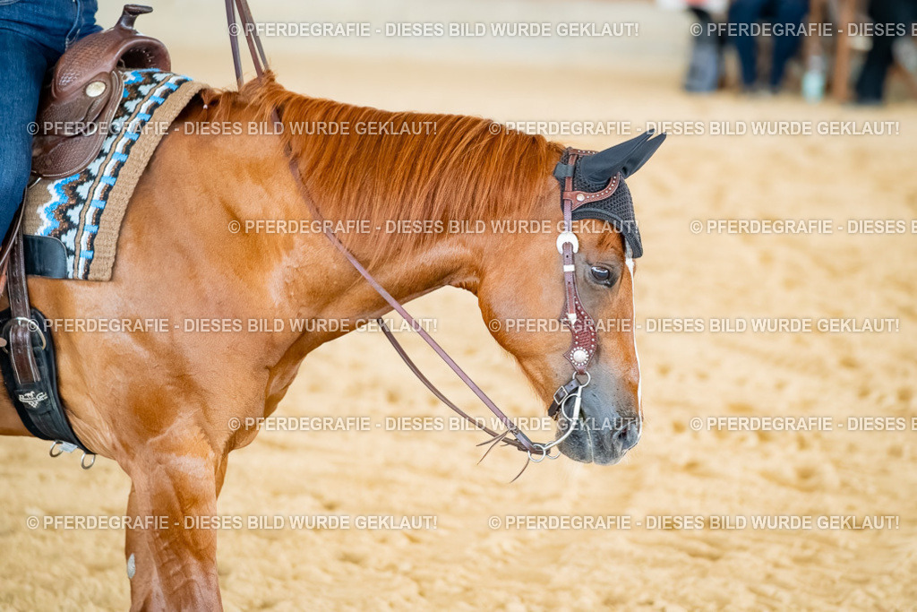 DSC07467 | Pferdegrafie