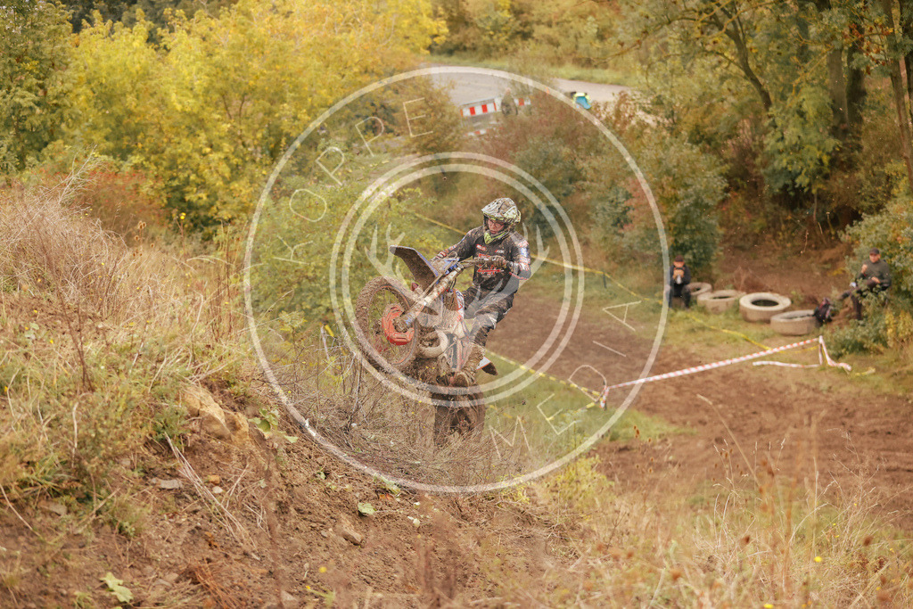 IGESchwabLauf2-373 | koppe-media