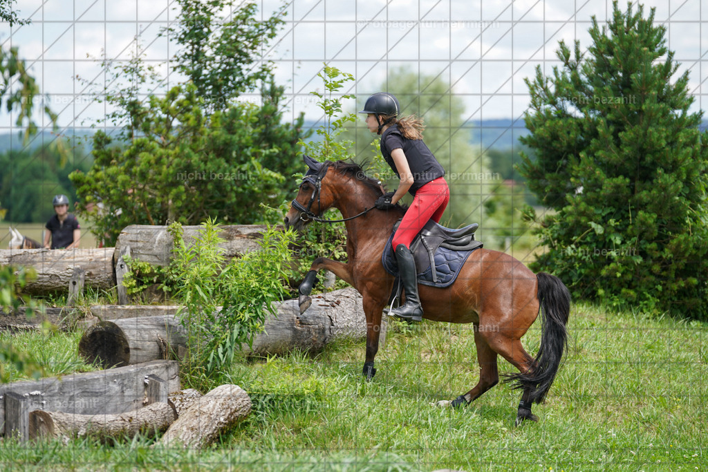 20240622-FAH07447 | Turnierfotografen Bayern, Reitsportbilder aus dem Geländekurs mit Felix Etzel auf dem Gut Waitzacker 2024
