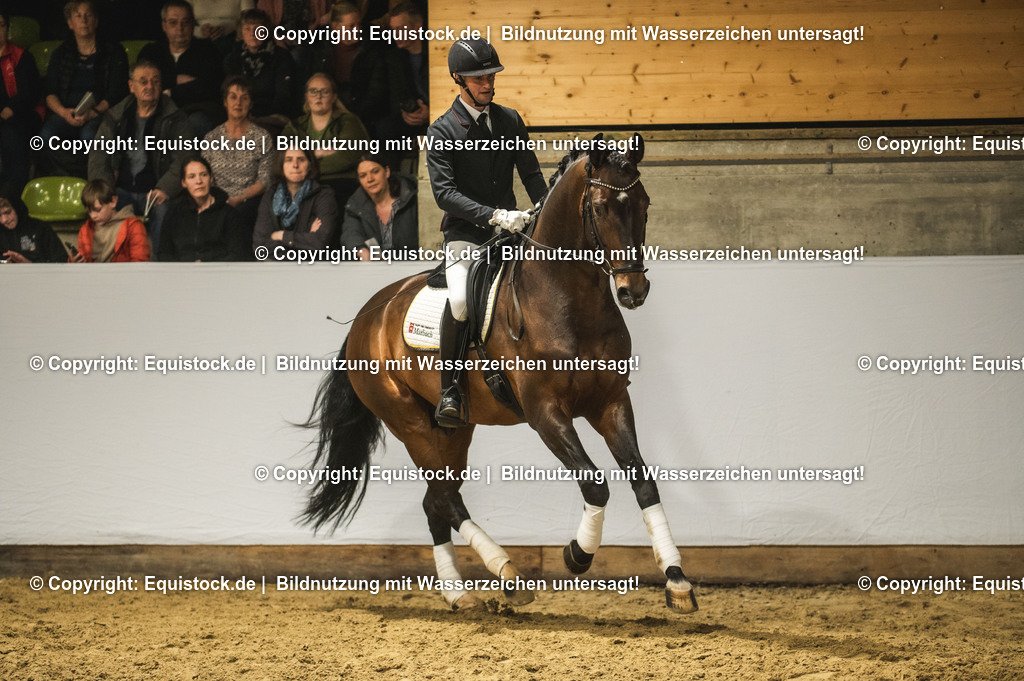 20240302_Hengstvorstellung_Marbach_TOMsPiC_1215 | equistock