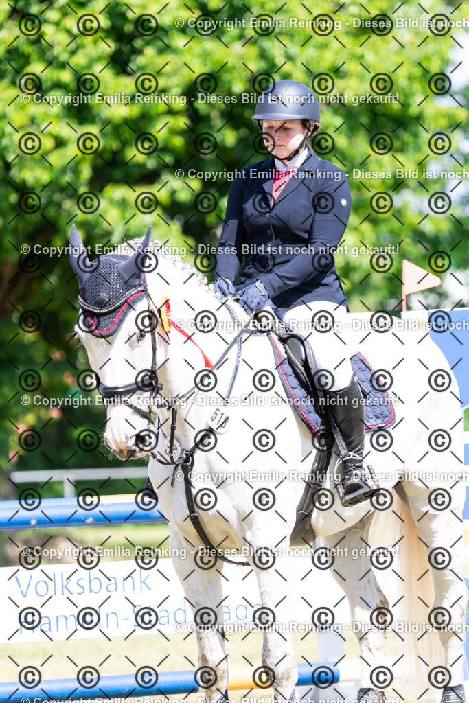 CL5A7462 | Emilia Reinking Fotografie - Realisiert mit Pictrs.com