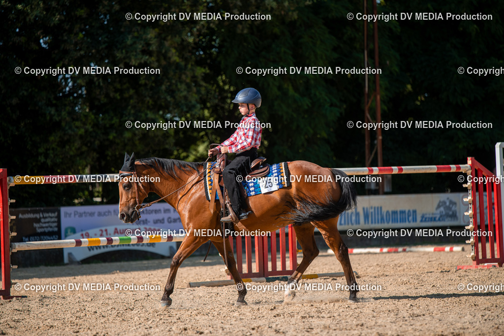 EWP_7009 | dv-media-shop - Realisiert mit Pictrs.com