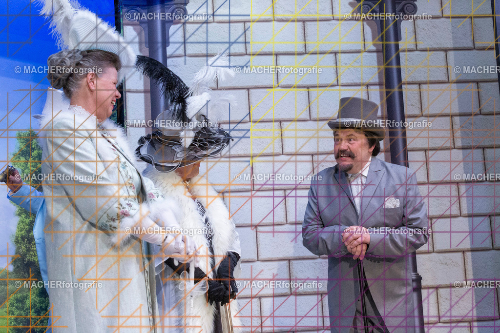 265_MFL-2025 | Portraitbilder von Regisseur; Darsteller; Techniker; Maske; Kostüme; Chor; Musiker; Bilderserie der Generalprobe und der Premierenvorstellung, Szenenbilder; Ausdrucksstudien; Bühnenüberblick; Bühnenkulissen; Pressefotos inkl. Redaktionsfoto Darstellergruppe.