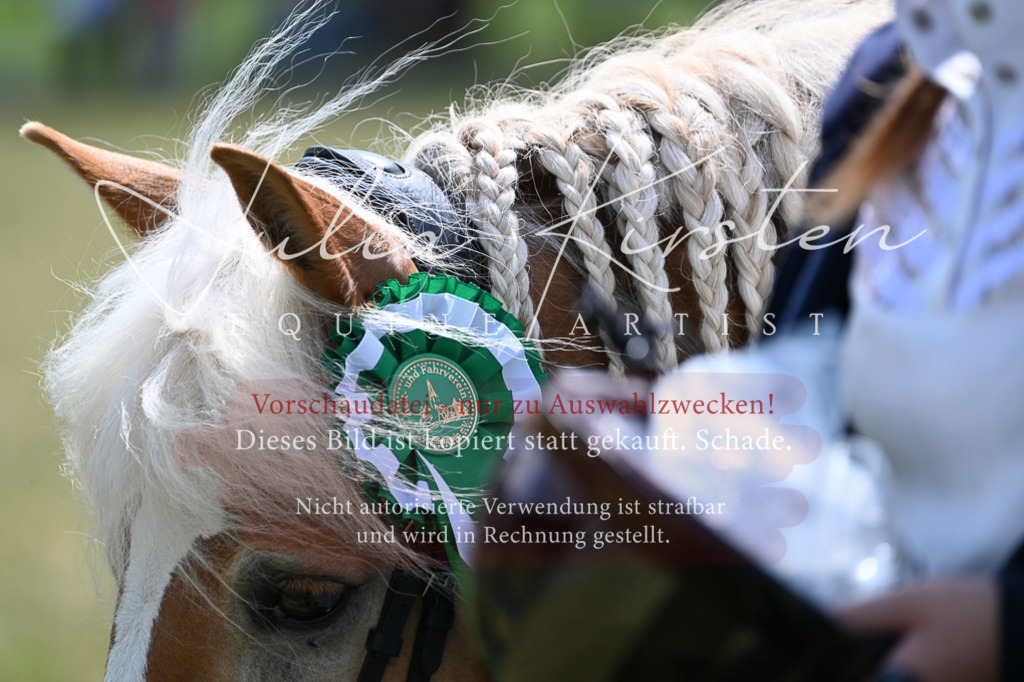 DSC_9555 | Pferde- und Turnierfotografie in Westsachsen. Pferdeportraits, Auftragszeichnungen und intuitive Kunst.