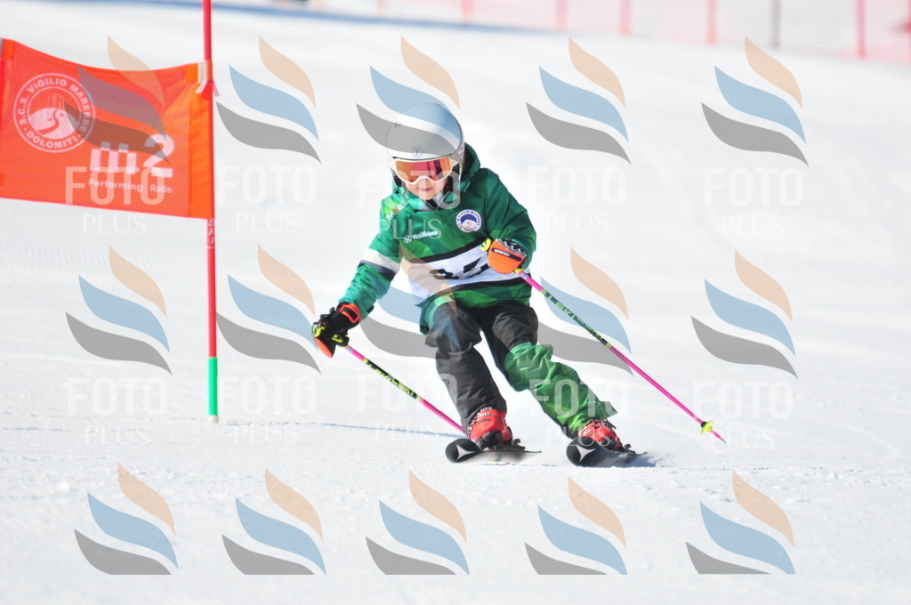 C2100 | holidayphoto