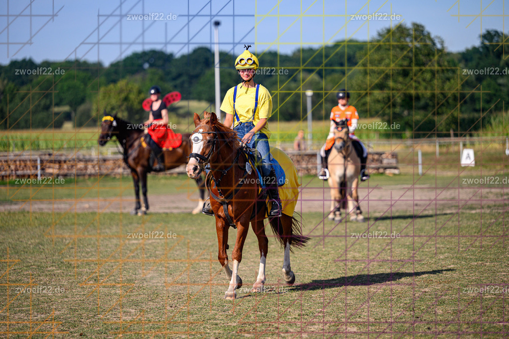 30 Jahre RFV Pulsnitz e.V., Pulsnitz am 09.08.2026 | Zur 28. breitensportlichen Veranstaltung des RFV Pulsnitz e.V. fanden verschiedene Wettbewerbe in nahezu allen Disziplinen des Pferdesport statt. - 05 Kostüm-Stilspring-Wettbewerb - Realisiert mit Pictrs.com