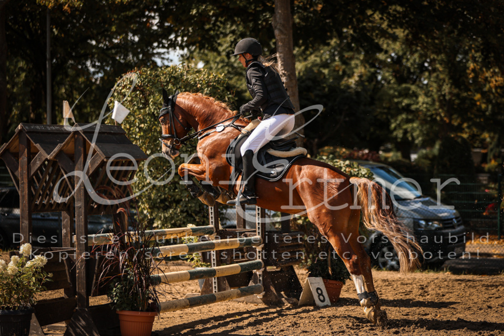 05.SaSpE00339 | Leoni Ertmer Photography - Realisiert mit Pictrs.com