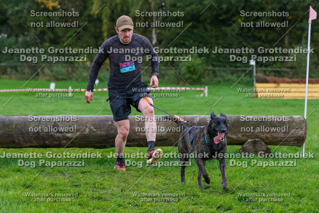 Dog Paparazzi -  SD1026-1991 | Dog Paparazzi Jeanette Grottendiek Fotografie & Videografie - Realisiert mit Pictrs.com