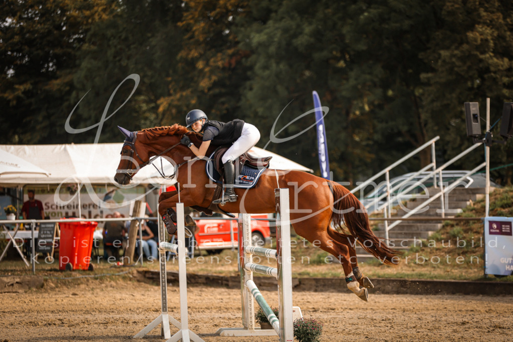 29.SaSpL00190 | Leoni Ertmer Photography - Realisiert mit Pictrs.com