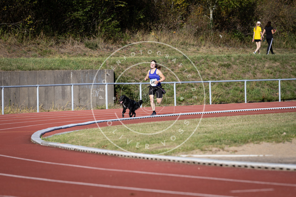 Pfotenfotografie_DV3A9281 | Hundefotografie, Tierfotograf, Pfotenfotografie, Fotoshooting Hund, Hunde Portrait, Hundesport, Hundeportraits, Heideshooting, Hunde, Sportfotograf, Hundefotograf, Turnierhundsport, THS,  - Realisiert mit Pictrs.com