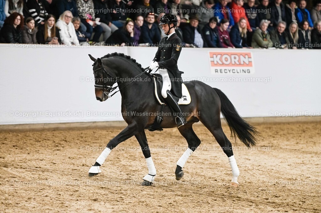 20260307_Hengstvorstellung-Marbach_0194 | equistock