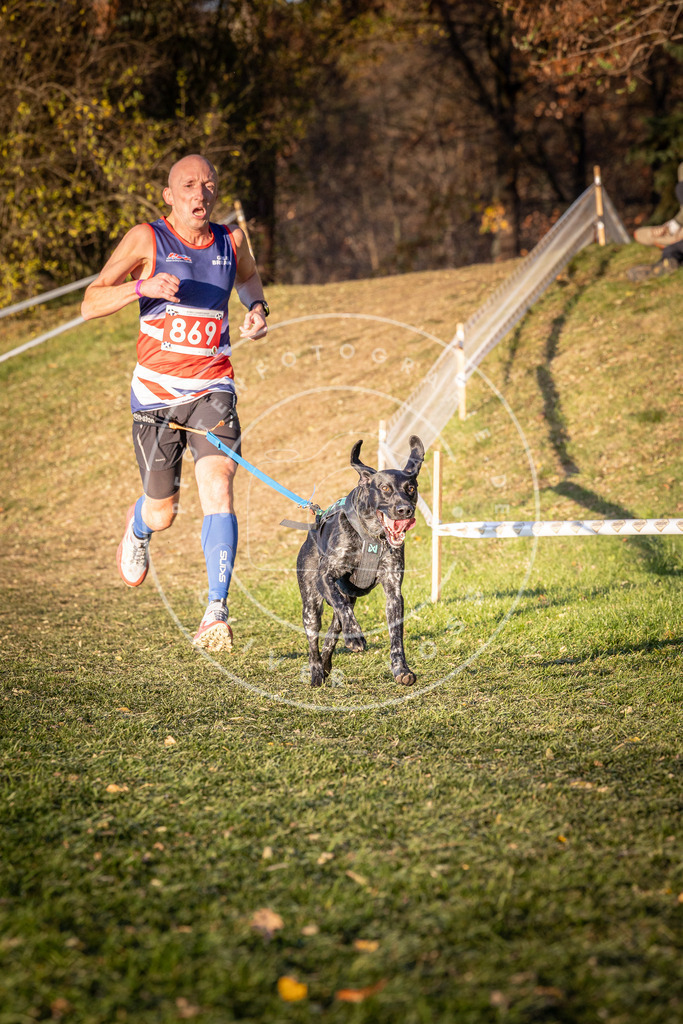 CaniXpix_0L8A1045 | Hundefotografie, Tierfotograf, Pfotenfotografie, Fotoshooting Hund, Hunde Portrait, Hundesport, Hundeportraits, Heideshooting, Hunde, Sportfotograf, Hundefotograf, Turnierhundsport, THS,  - Realisiert mit Pictrs.com