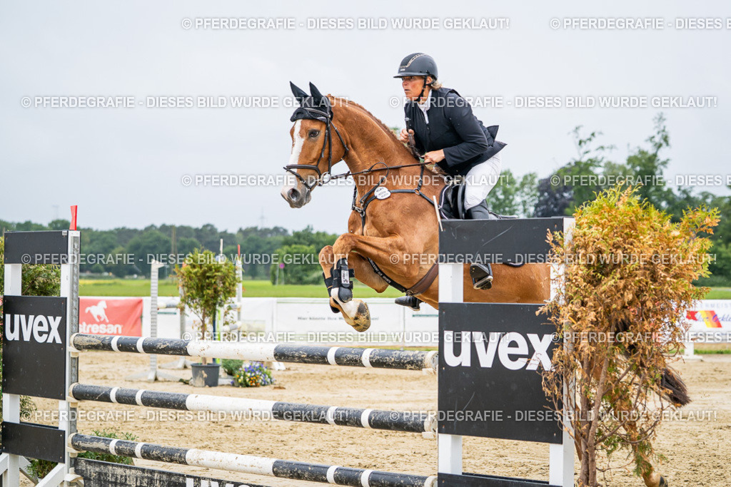 DSC02611 | Pferdegrafie