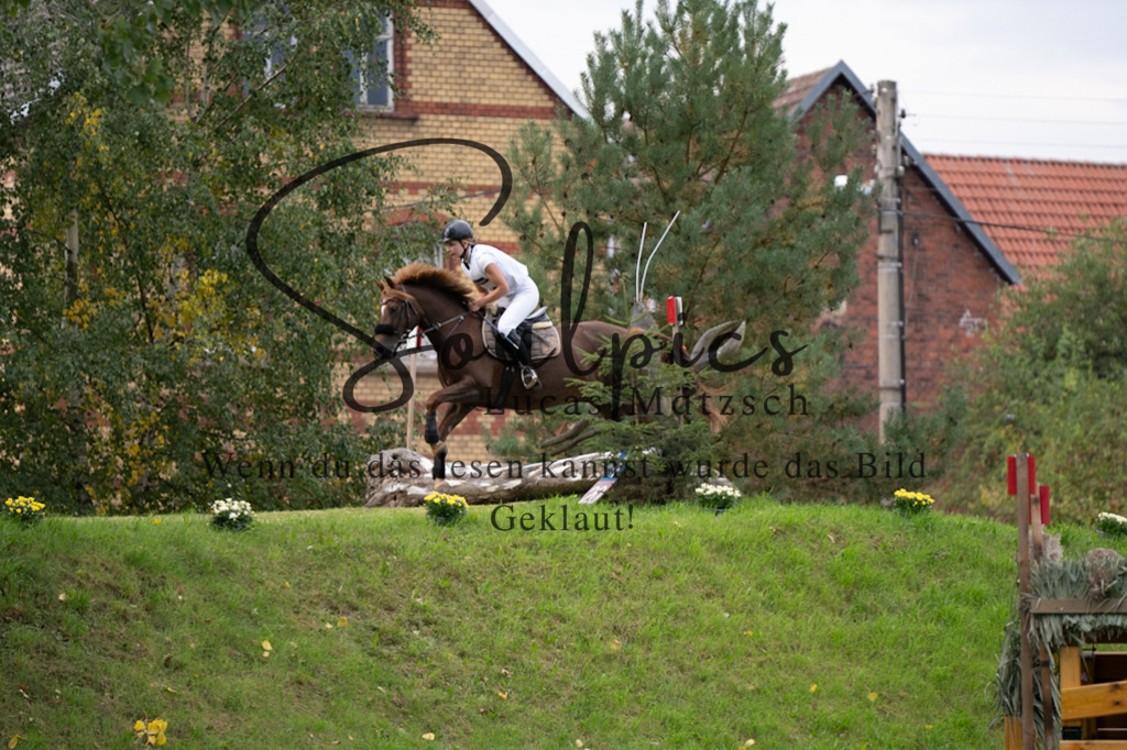 A7V03534 | Pferdefotograf