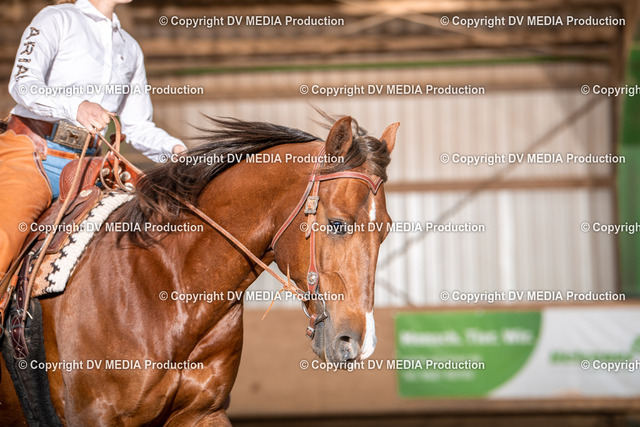 Balingen Tag 2-929 | dv-media-shop - Realisiert mit Pictrs.com