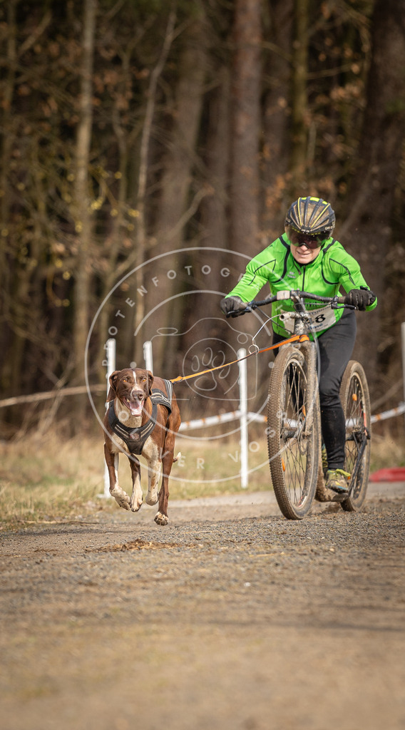 DV3A4782 | Hundefotografie, Tierfotograf, Pfotenfotografie, Fotoshooting Hund, Hunde Portrait, Hundesport, Hundeportraits, Heideshooting, Hunde, Sportfotograf, Hundefotograf, Turnierhundsport, THS,  - Realisiert mit Pictrs.com