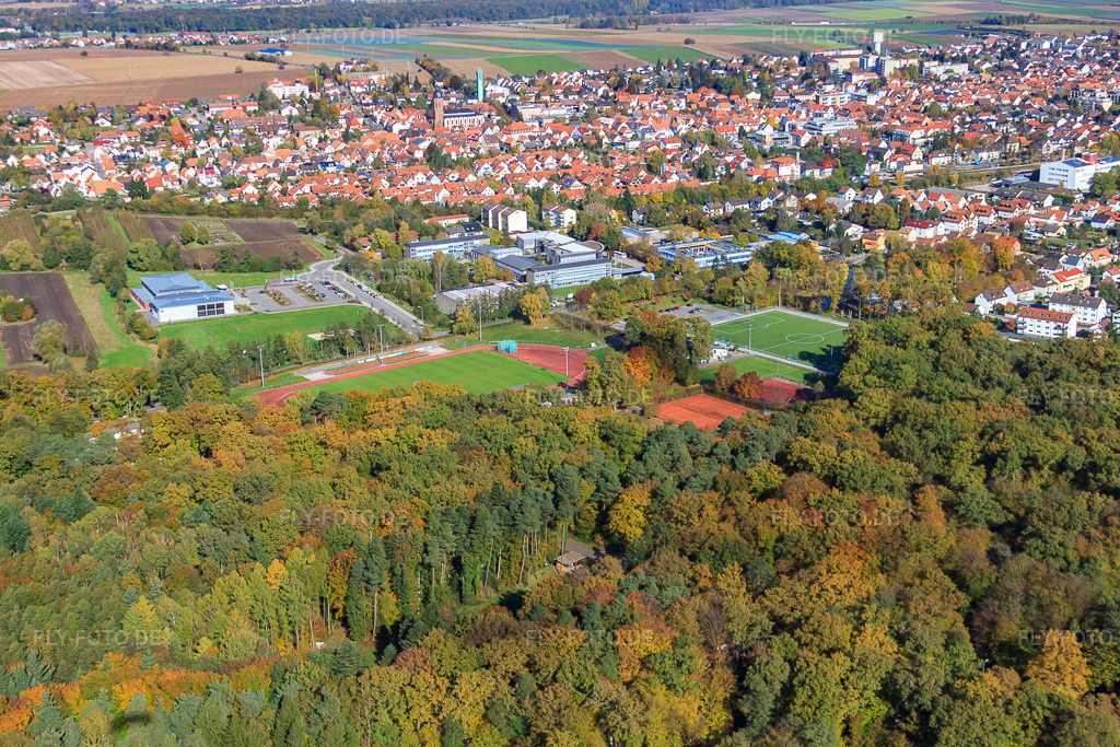 Luftbild: Bienwald-Stadion in Kandel im Bundesland Rheinland-Pfalz in Deutschland. Foto: IMG_34476.jpg vom 26.10.2010 durch Werner Riehm/FLY-FOTO.deTSV 1886 Kandel Leichtathletik - mit uns Spaß am Sport