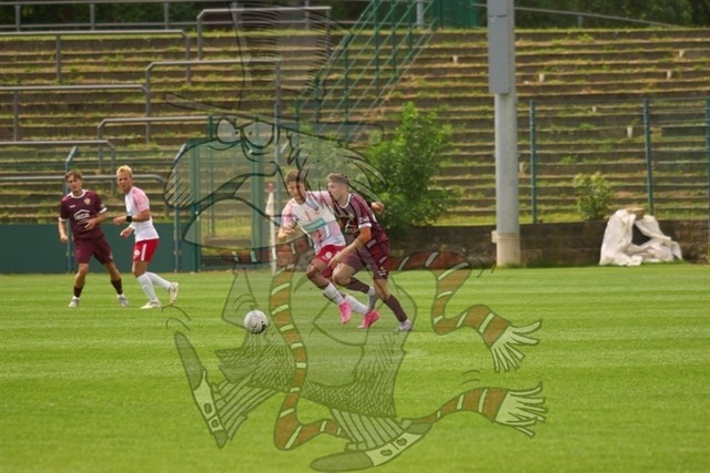 BFC Dynamo vs. SV Lichtenbger 47 041 | mythos-online-redaktion