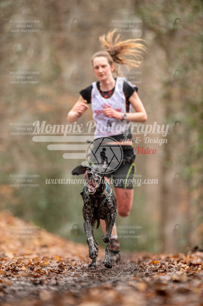 SPA_2023_DIM_CCL-22 | PayLife