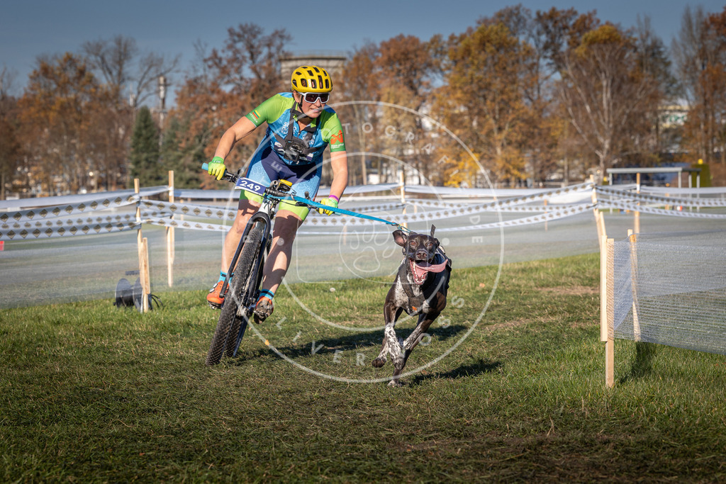 CaniXpix_0L8A4904 | Hundefotografie, Tierfotograf, Pfotenfotografie, Fotoshooting Hund, Hunde Portrait, Hundesport, Hundeportraits, Heideshooting, Hunde, Sportfotograf, Hundefotograf, Turnierhundsport, THS,  - Realisiert mit Pictrs.com