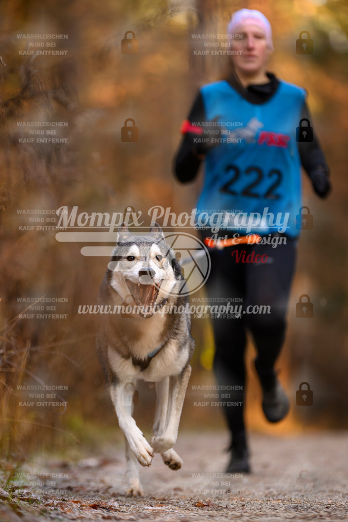 MompixPhotography_DM_AKDM_SO_2025_-74 | PayLife