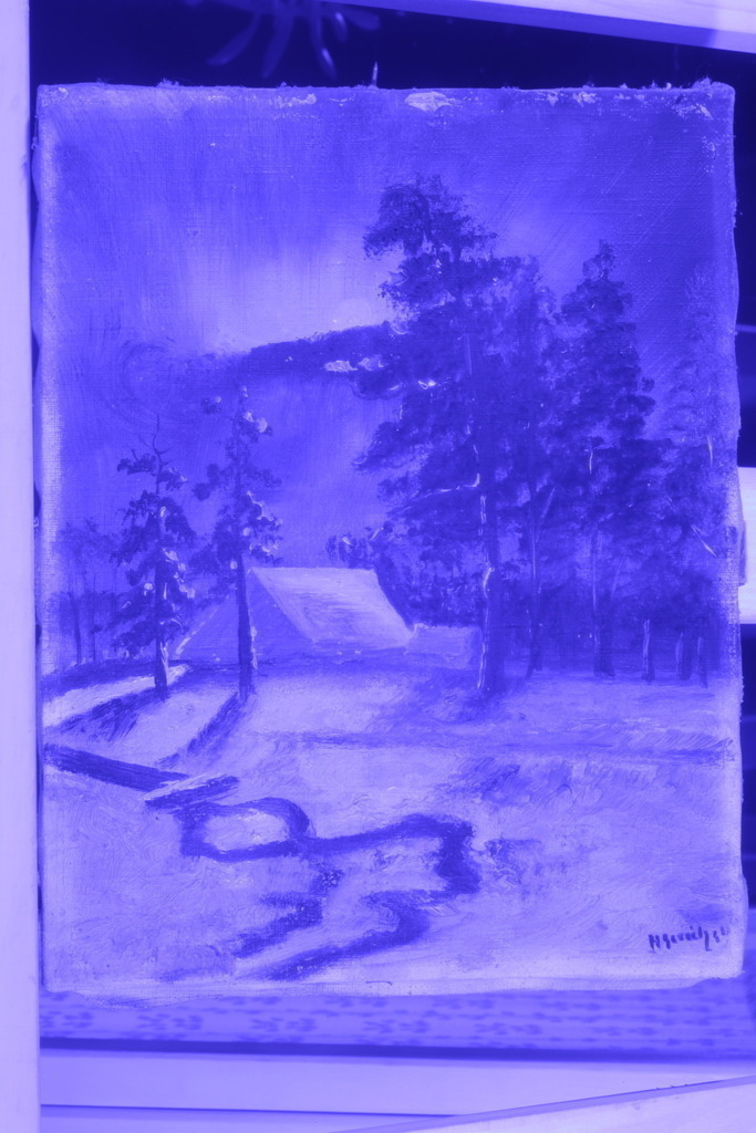 infraredphoto - Infrarotfoto | Die Bilder stammen aus Infrarot-Fotografy von Malereien.
Fotografy von Majid Amoli.

Unterlagen zum Nachweis technischer und beruflicher Leistungsfähigkeit zum Infrarot Fotografie.