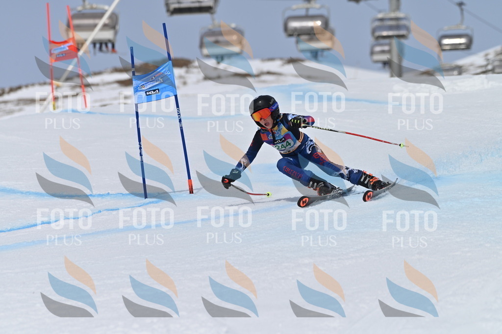 BGV_4828 | holidayphoto