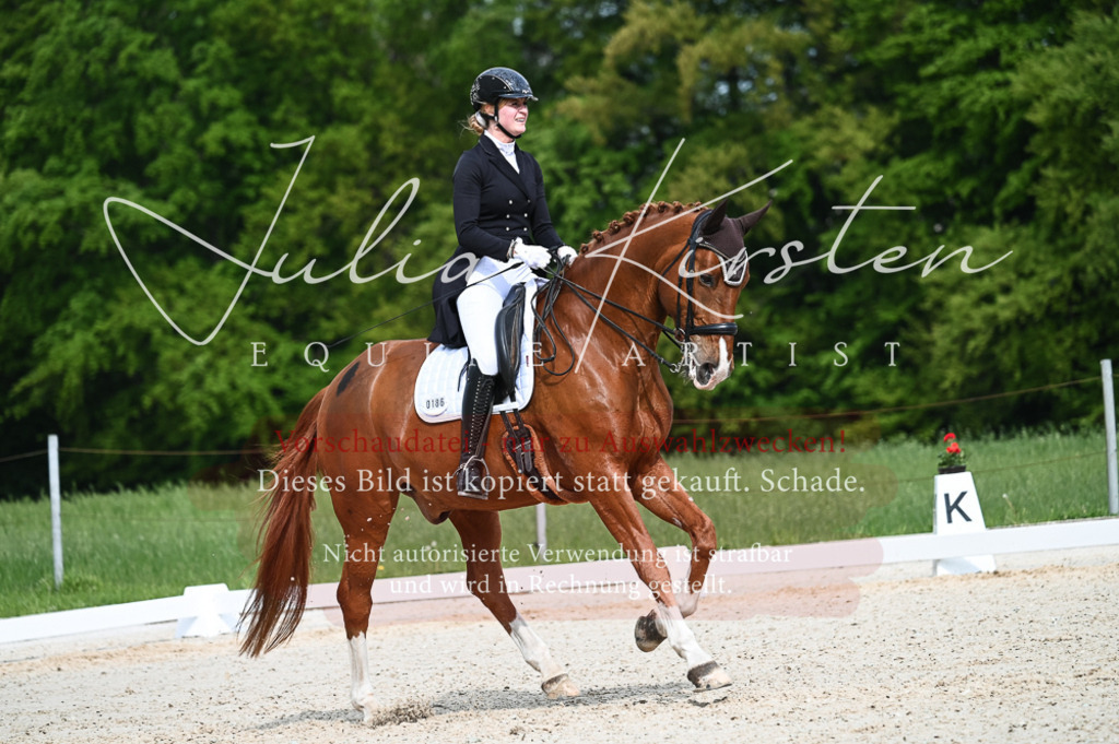 20230513_JK-Röhrsdorf-12-356-2 | Pferde- und Turnierfotografie in Westsachsen. Pferdeportraits, Auftragszeichnungen und intuitive Kunst.