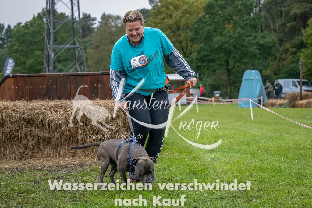 1203--8 | kk-dogfotos