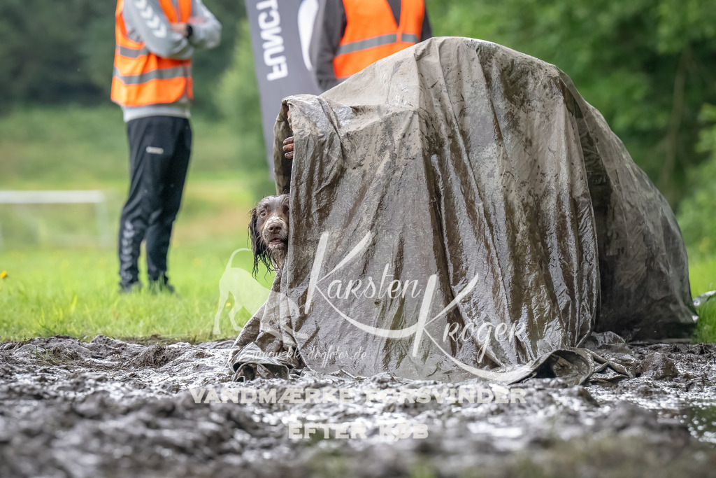 0922_ZZ90901-Bearbeitet | kk-dogfotos