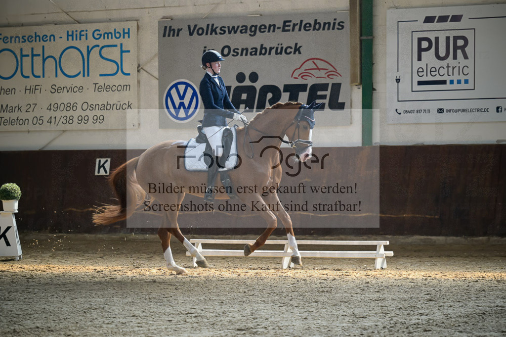 Reitturnier Voxtrup | Entdecke hochwertige Reitturnierfotos von Foto Oger. Professionell, emotional und authentisch – jetzt Lieblingsmomente im Shop bestellen.Deutschlandweite Turnierfotografie. - Realisiert mit Pictrs.com