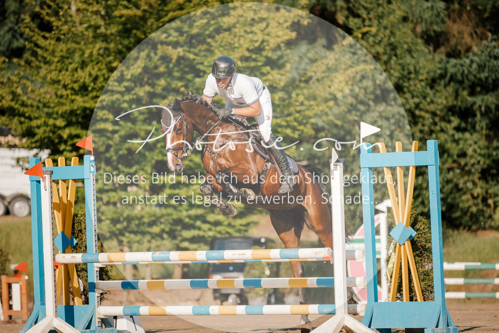 3I6A6043 | Stimmungsvolle Portraits und Reitsportfotografie im Ruhrgebiet und im Münsterland.

Pferdefotografie, Hundefotografie, Tierfotografie, Reportagen, Portraits von Tier und Mensch, Turnierfotografie in Bochum, Recklinghausen, Marl, Haltern am See, Dülmen.. - Realisiert mit Pictrs.com