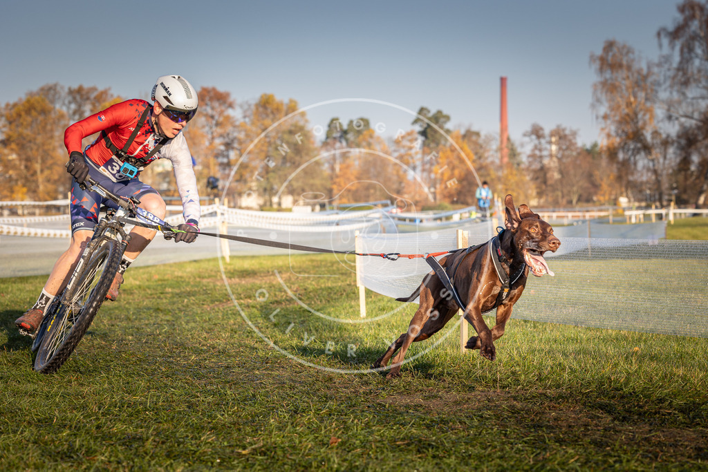 CaniXpix_0L8A3824 | Hundefotografie, Tierfotograf, Pfotenfotografie, Fotoshooting Hund, Hunde Portrait, Hundesport, Hundeportraits, Heideshooting, Hunde, Sportfotograf, Hundefotograf, Turnierhundsport, THS,  - Realisiert mit Pictrs.com