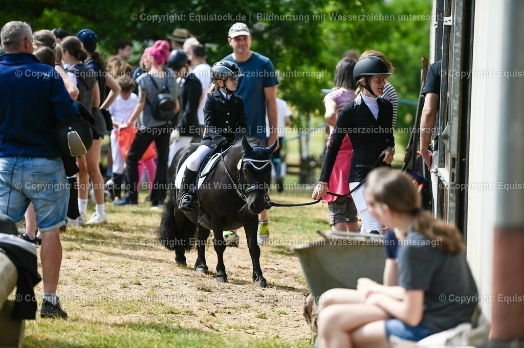 20230716_10-3_Reiter-WB Schritt - Trab - Galopp_0095 | equistock