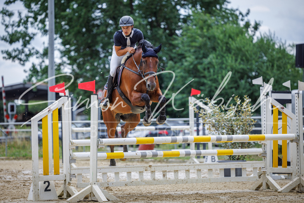 20260705-_3LI5791 | Tierfotografie Pferde, Hunde, Katzen, Haustiere.
Turnierfotografie Reitturniere, Reiten, Springreiten, Dressur in Hanau, dem Main-Kinzig-Kreis und dem Rhein-Main- Gebiet um Frankfurt