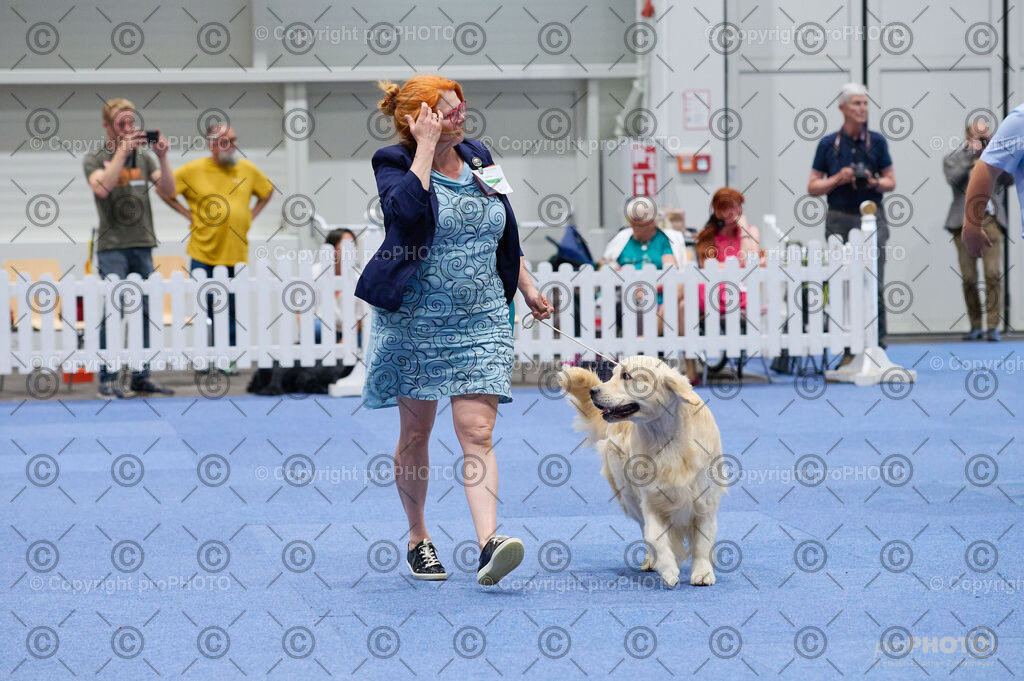 202406_ÖKV-IHA-Tulln24_DSC_3160 | proPHOTO - Realisiert mit Pictrs.com