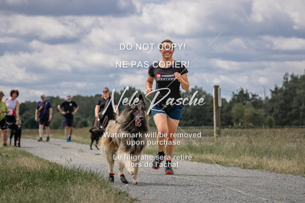 nelerasche_BuHu2026_SaCC1100-1200_213 | nelerasche