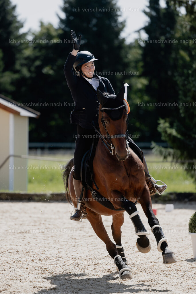 Nadine22_FHC2025-98 | working equitationturnier fotograf videograf stoibphotography marixx film working equitation deutschland reitsport turnierfotografie eventfotografie equestrian events