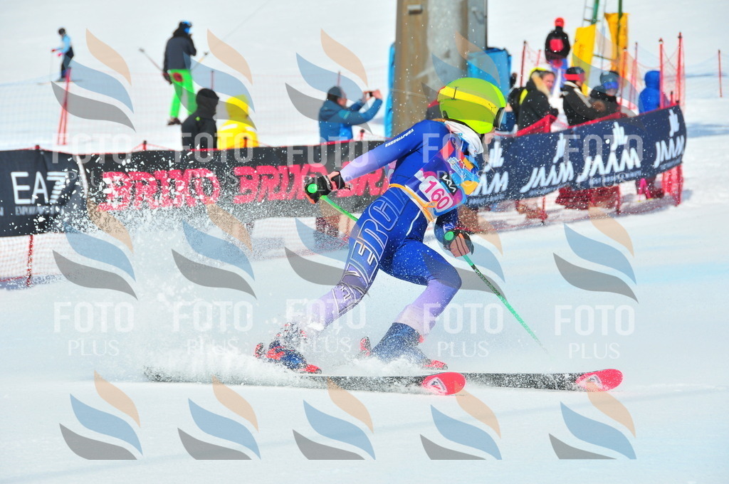 DSC_5163 | holidayphoto