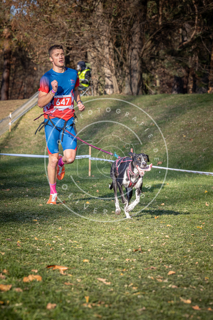CaniXpix_0L8A9051 | Hundefotografie, Tierfotograf, Pfotenfotografie, Fotoshooting Hund, Hunde Portrait, Hundesport, Hundeportraits, Heideshooting, Hunde, Sportfotograf, Hundefotograf, Turnierhundsport, THS,  - Realisiert mit Pictrs.com